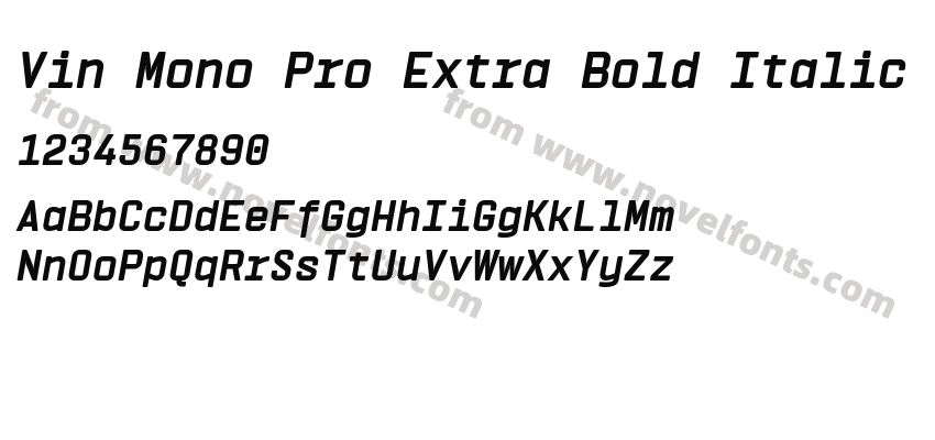 Vin Mono Pro Extra Bold ItalicPreview