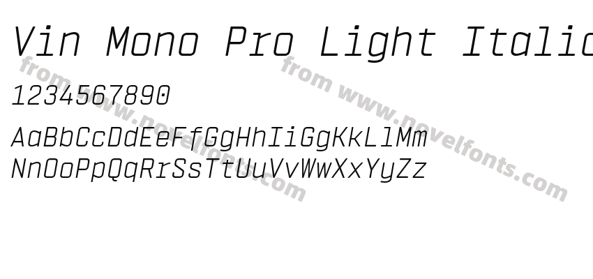 Vin Mono Pro Light ItalicPreview
