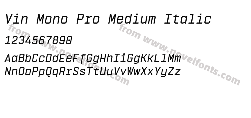 Vin Mono Pro Medium ItalicPreview