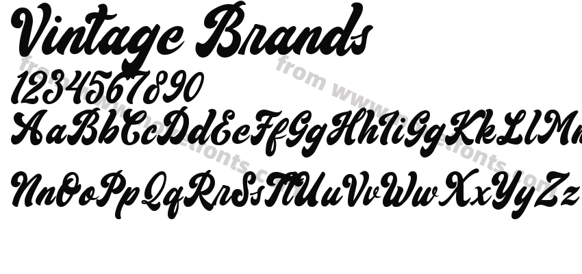 Vintage BrandsPreview