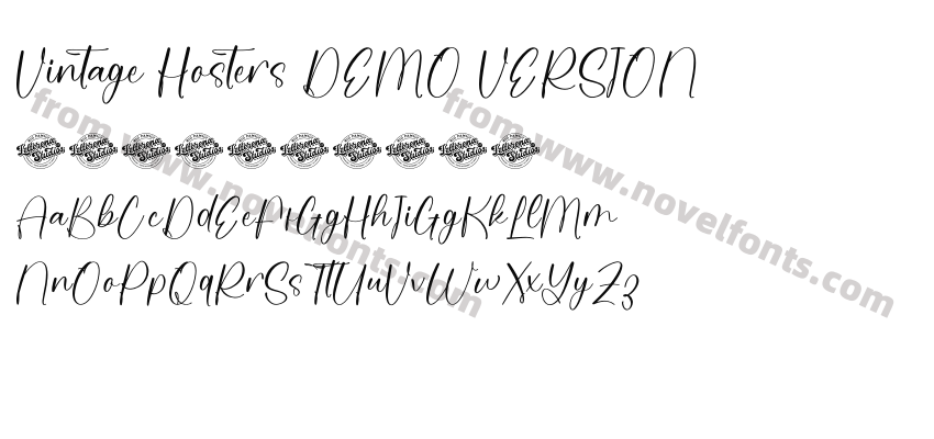 Vintage Hosters DEMO VERSIONPreview