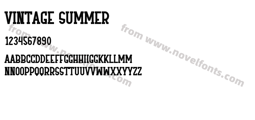 Vintage SummerPreview