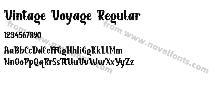 Vintage Voyage RegularPreview