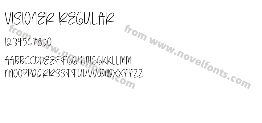 Visioner RegularPreview