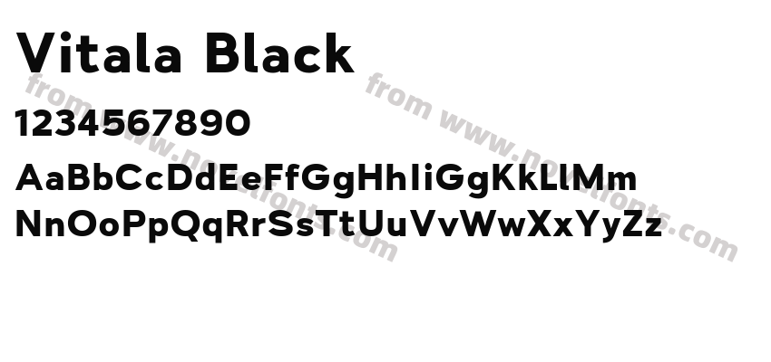 Vitala BlackPreview