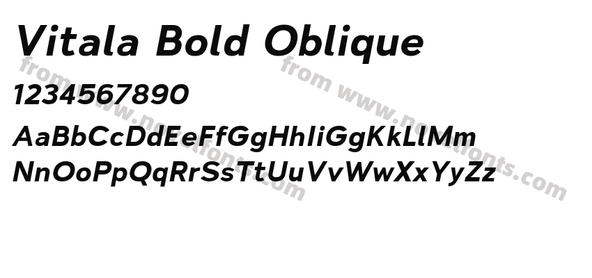 Vitala Bold ObliquePreview