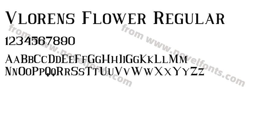 Vlorens Flower RegularPreview
