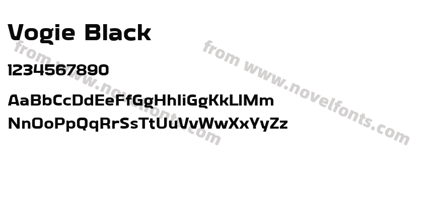 Vogie BlackPreview