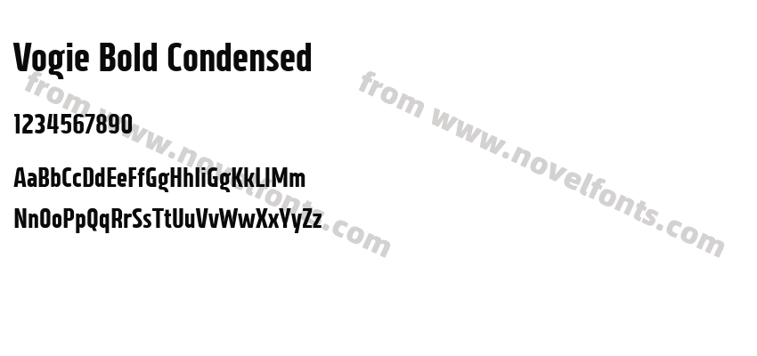 Vogie Bold CondensedPreview