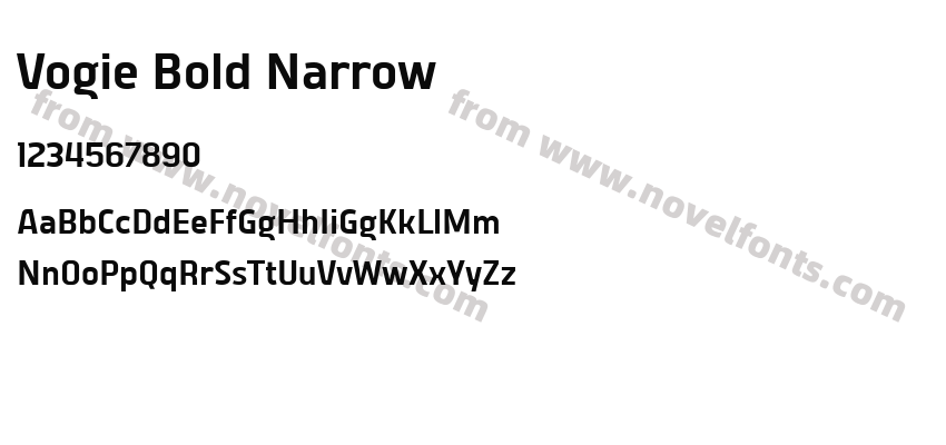 Vogie Bold NarrowPreview