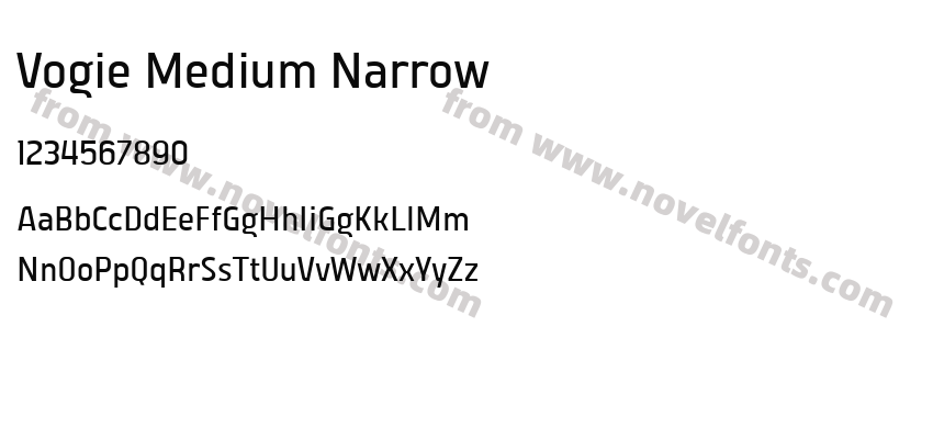Vogie Medium NarrowPreview