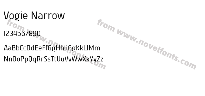 Vogie NarrowPreview
