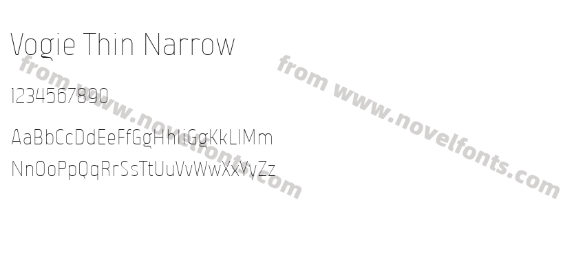 Vogie Thin NarrowPreview