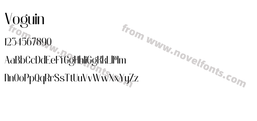 VoguinPreview