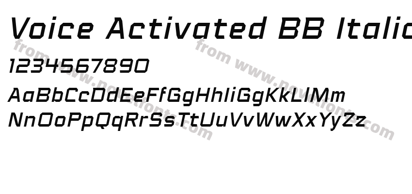 Voice Activated BB ItalicPreview
