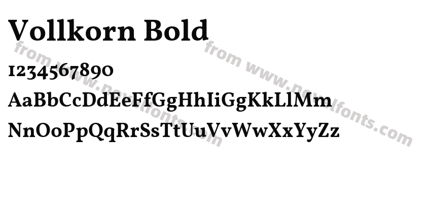Vollkorn BoldPreview