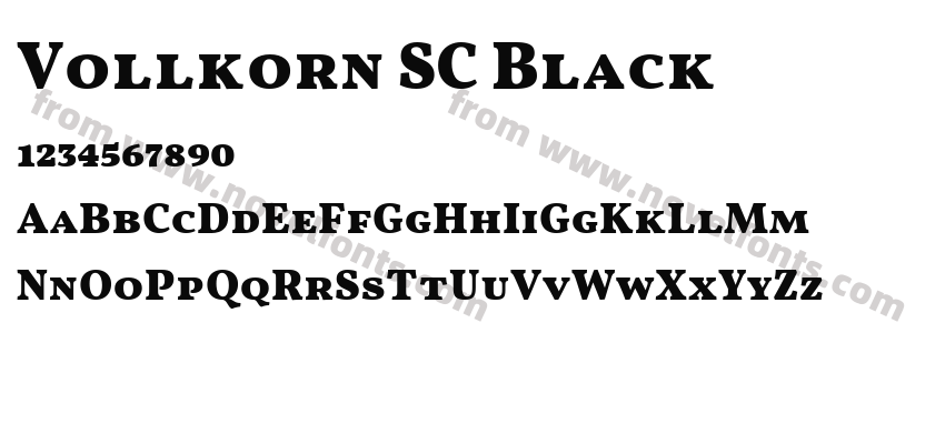 Vollkorn SC BlackPreview