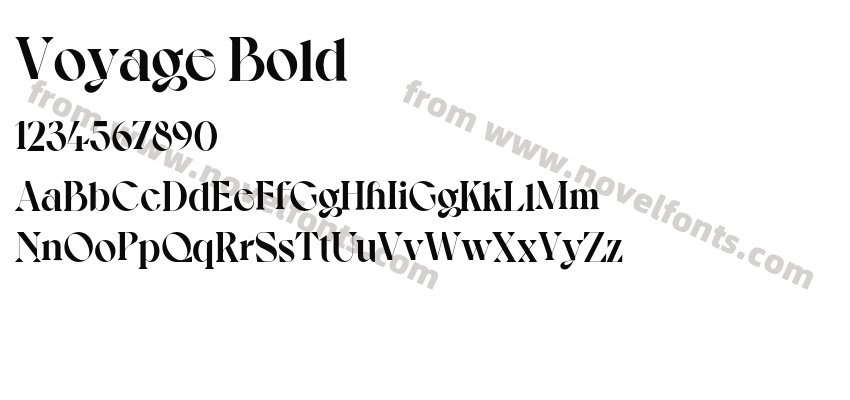 Voyage BoldPreview