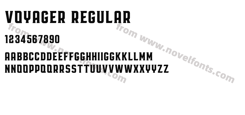 Voyager RegularPreview