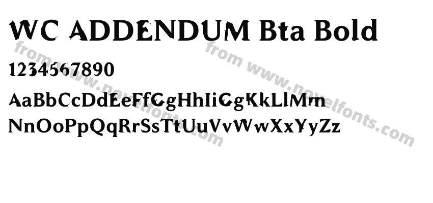 WC ADDENDUM Bta BoldPreview