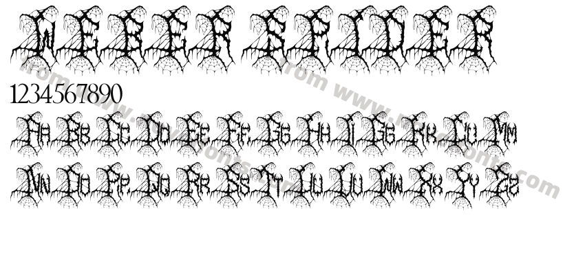 WEBER SPIDERPreview