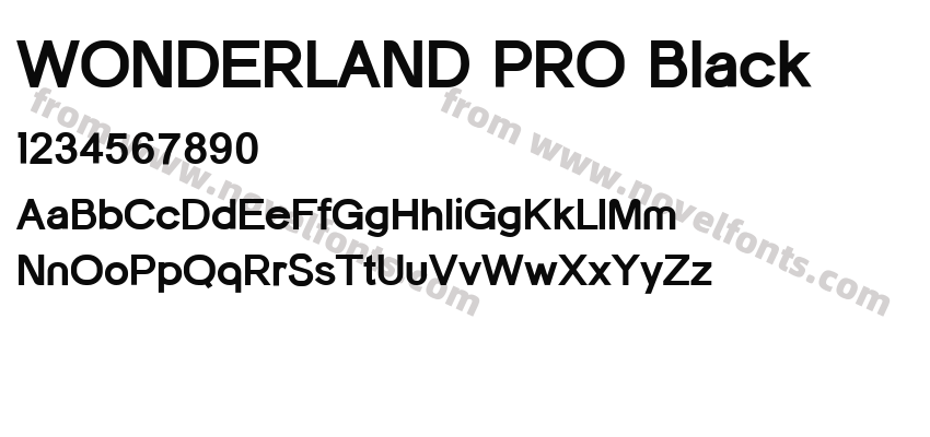 WONDERLAND PRO BlackPreview