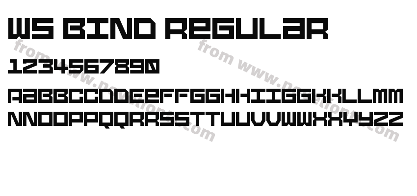 WS Bind RegularPreview