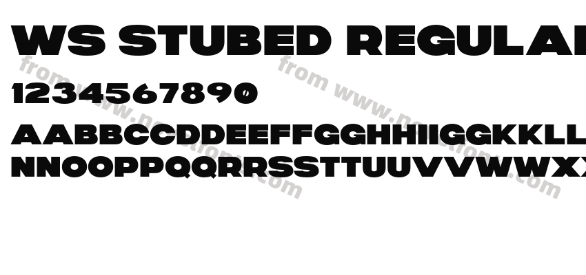 WS Stubed RegularPreview
