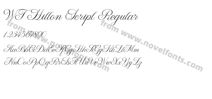 WT Hilton Script RegularPreview