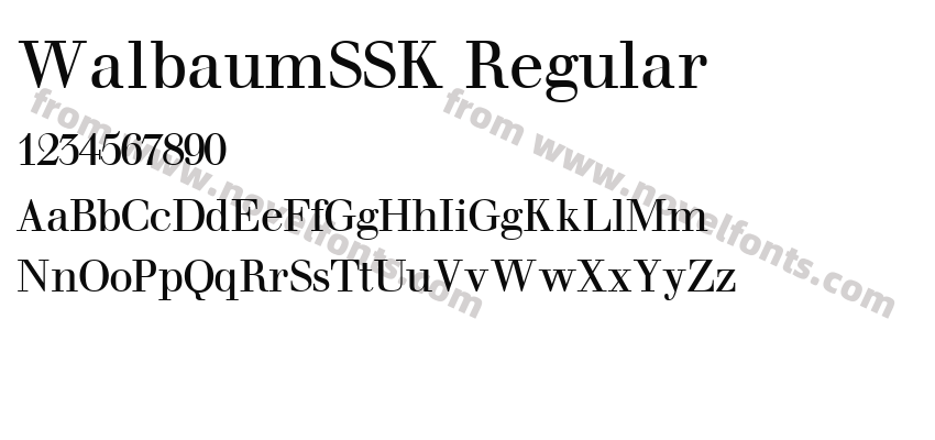WalbaumSSK RegularPreview