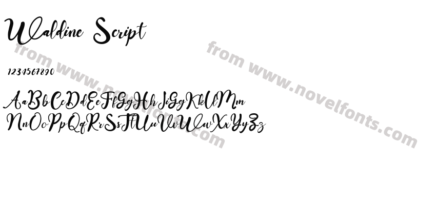 Waldine ScriptPreview