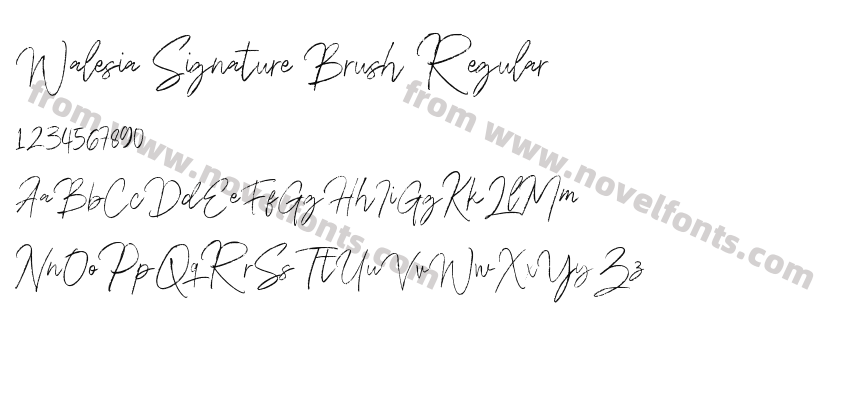 Walesia Signature Brush RegularPreview