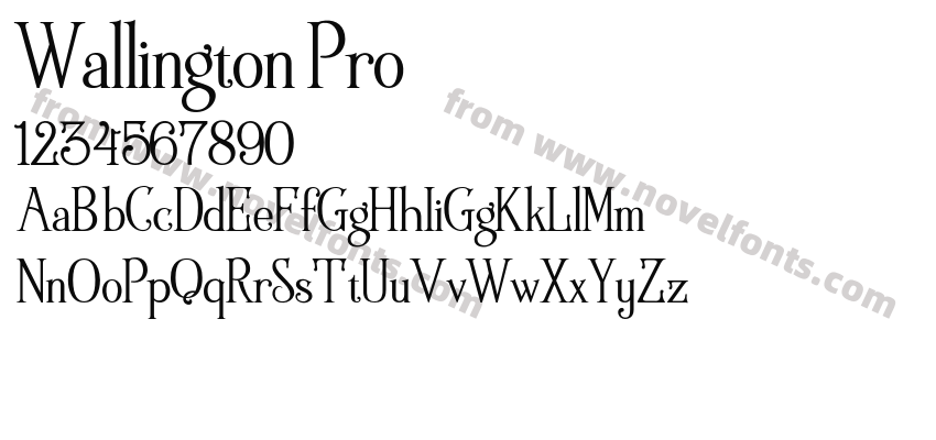 Wallington ProPreview
