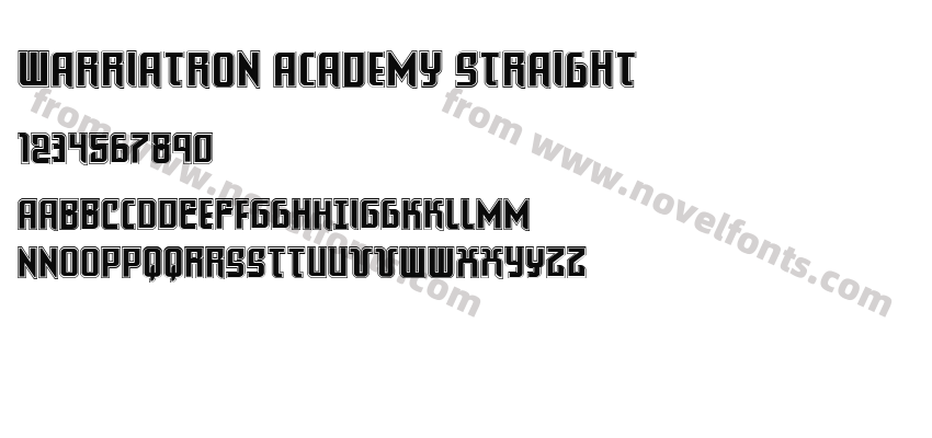 Warriatron Academy StraightPreview