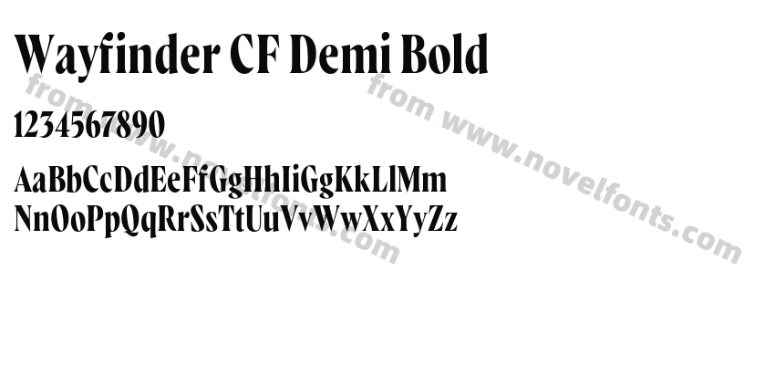 Wayfinder CF Demi BoldPreview