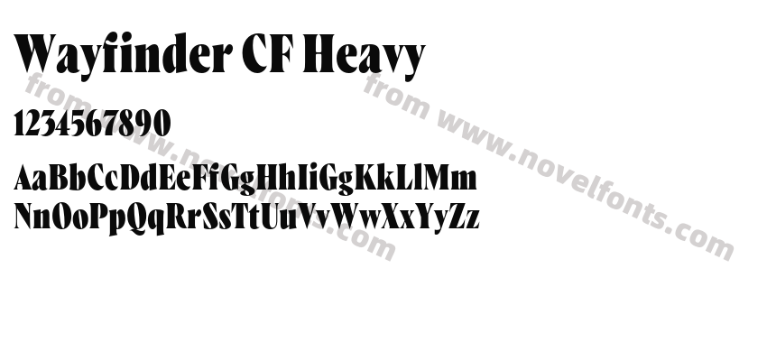 Wayfinder CF HeavyPreview