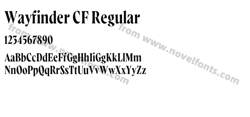 Wayfinder CF RegularPreview