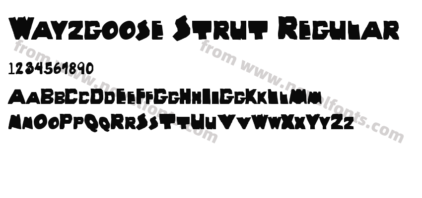 Wayzgoose Strut RegularPreview
