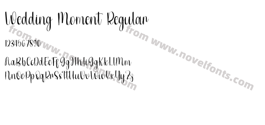 Wedding Moment RegularPreview