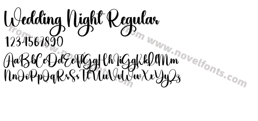 Wedding Night RegularPreview