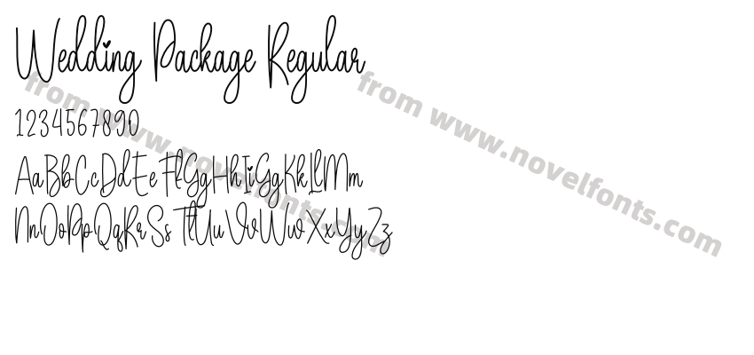 Wedding Package RegularPreview