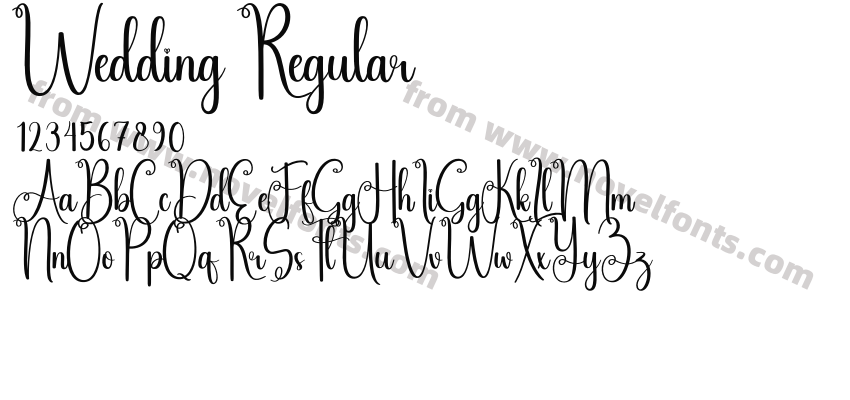 Wedding RegularPreview