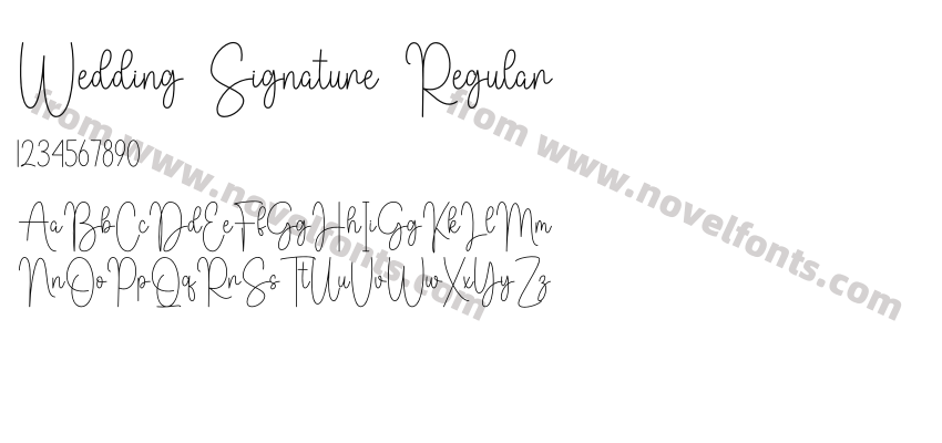 Wedding Signature RegularPreview