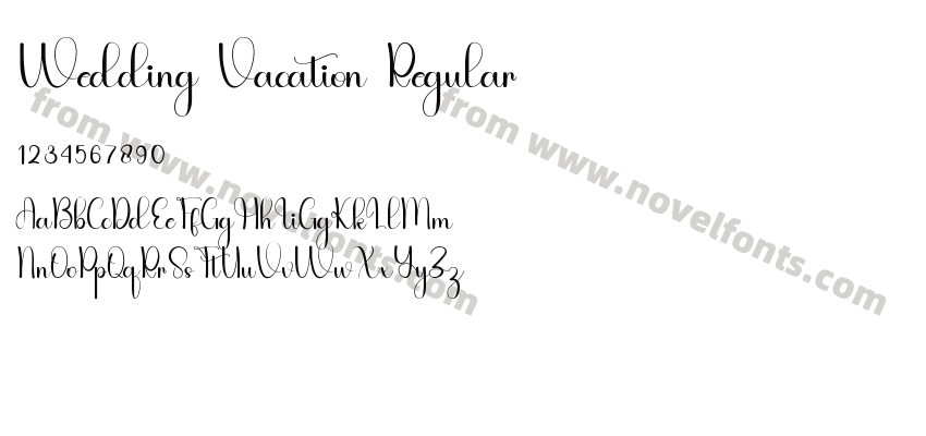 Wedding Vacation RegularPreview