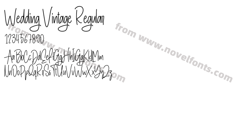 Wedding Vintage RegularPreview