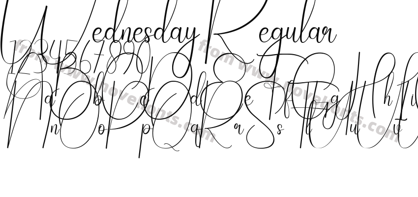 Wednesday RegularPreview