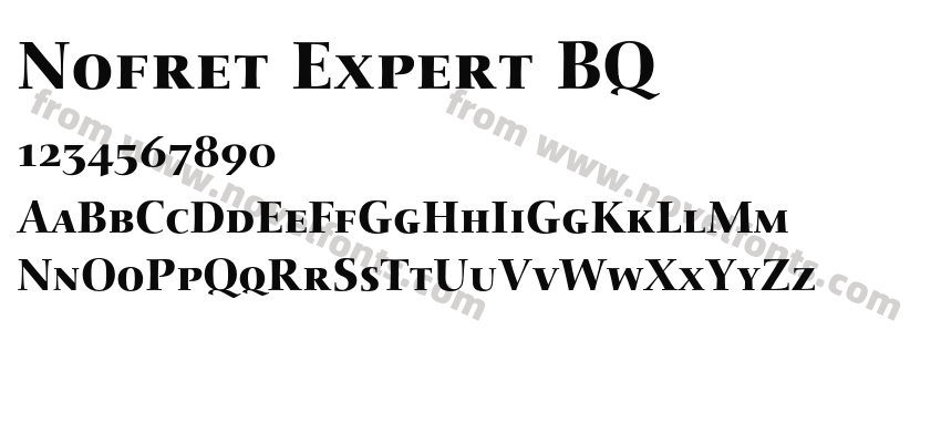 Nofret Expert BQPreview