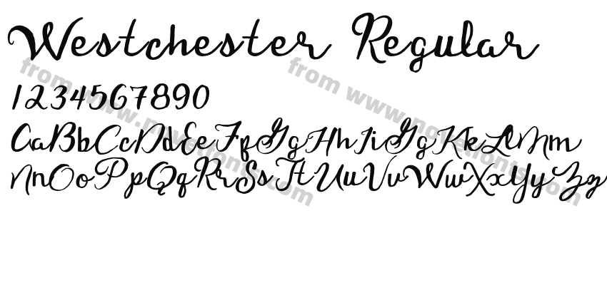 Westchester RegularPreview