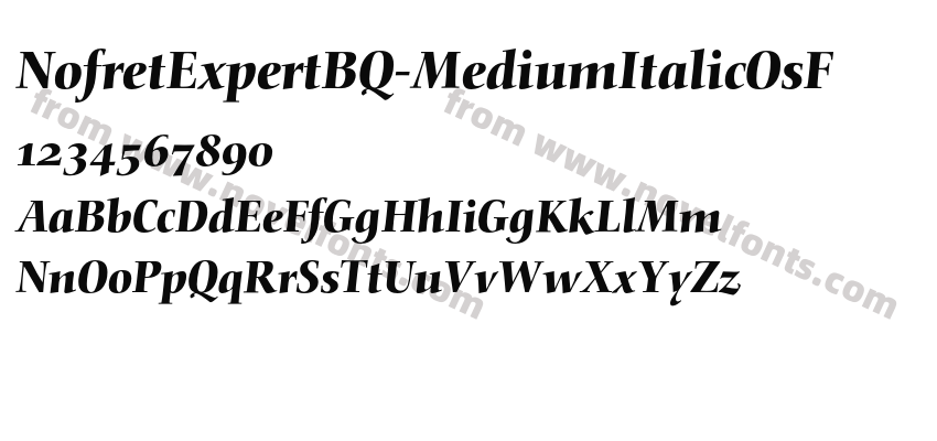 Nofret ExpertBQ Medium Italic OsFPreview