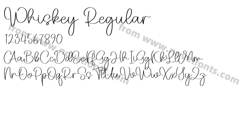 Whiskey RegularPreview